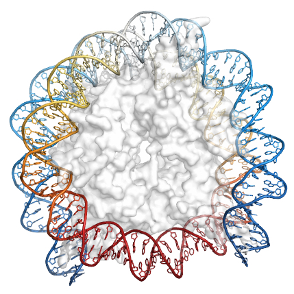 nucleosome-small